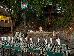 Ichingo Chobe River Lodge by Mantis photo 2