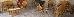 Thumbnail 36