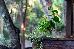 Thumbnail 16