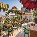 Thumbnail 241