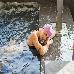 Thumbnail 28