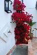 Thumbnail 71