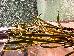 Thumbnail 33