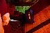 Thumbnail 164