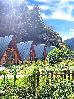 Thumbnail 99