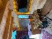 Thumbnail 22