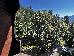 Thumbnail 25