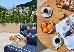 Thumbnail 47