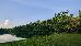Thumbnail 84