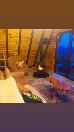 Thumbnail 27