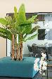 Thumbnail 34