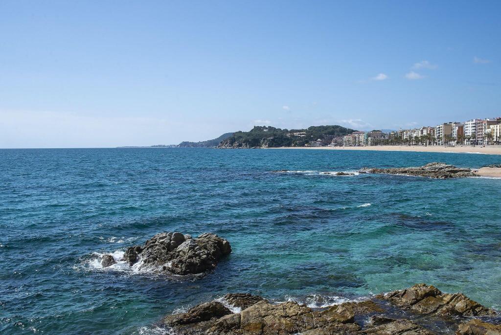 Hotel Lloret Santa Rosa photo 47
