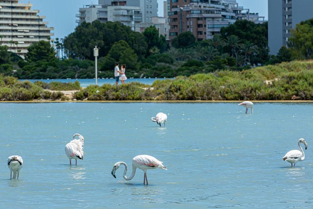 Hotel AR Roca Esmeralda & Spa, Spanien, Calpe. Großes 2