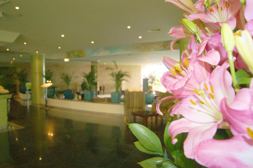 Imagem da galeria de Hotel Baia Grande