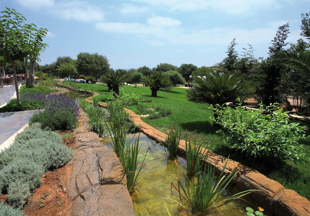 Occidental Menorca photo 87