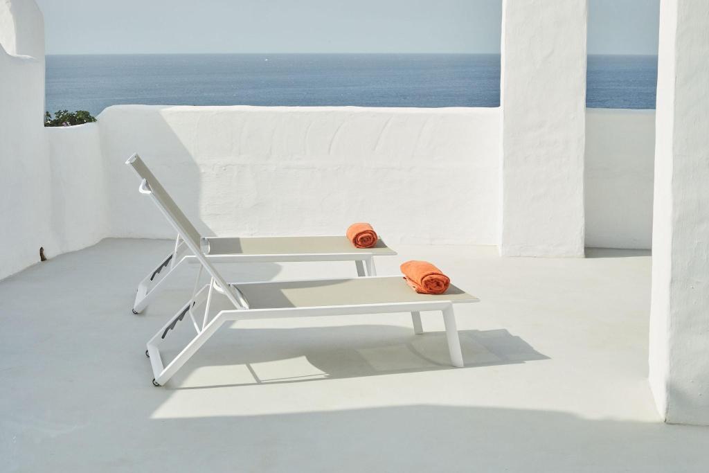 Jardin Tropical photo 26