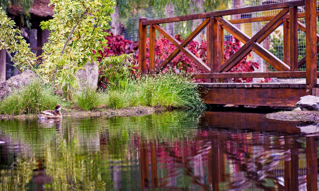 Hotel Park Club Europe, Spanien, Playa de Las Américas. Großes 56