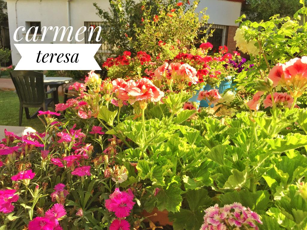 Hotel Carmen Teresa, Spanien, Torremolinos. Großes 2