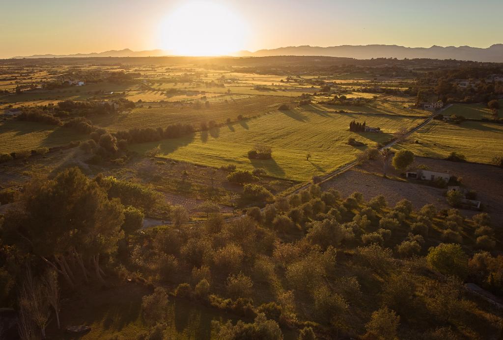 Es Figueral Nou Hotel Rural & Spa - Adults Only photo 92