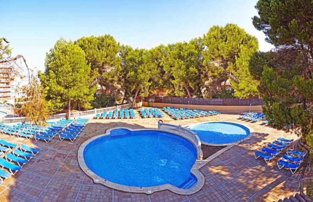 MLL Palma Bay Club Resort photo 77