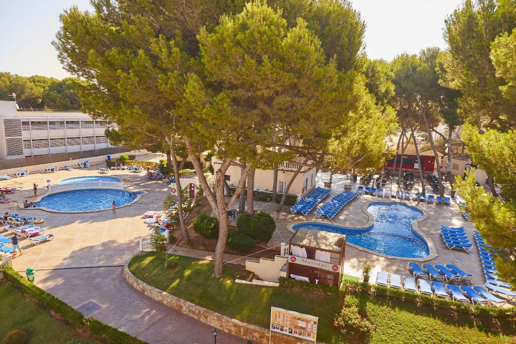 MLL Palma Bay Club Resort photo 35