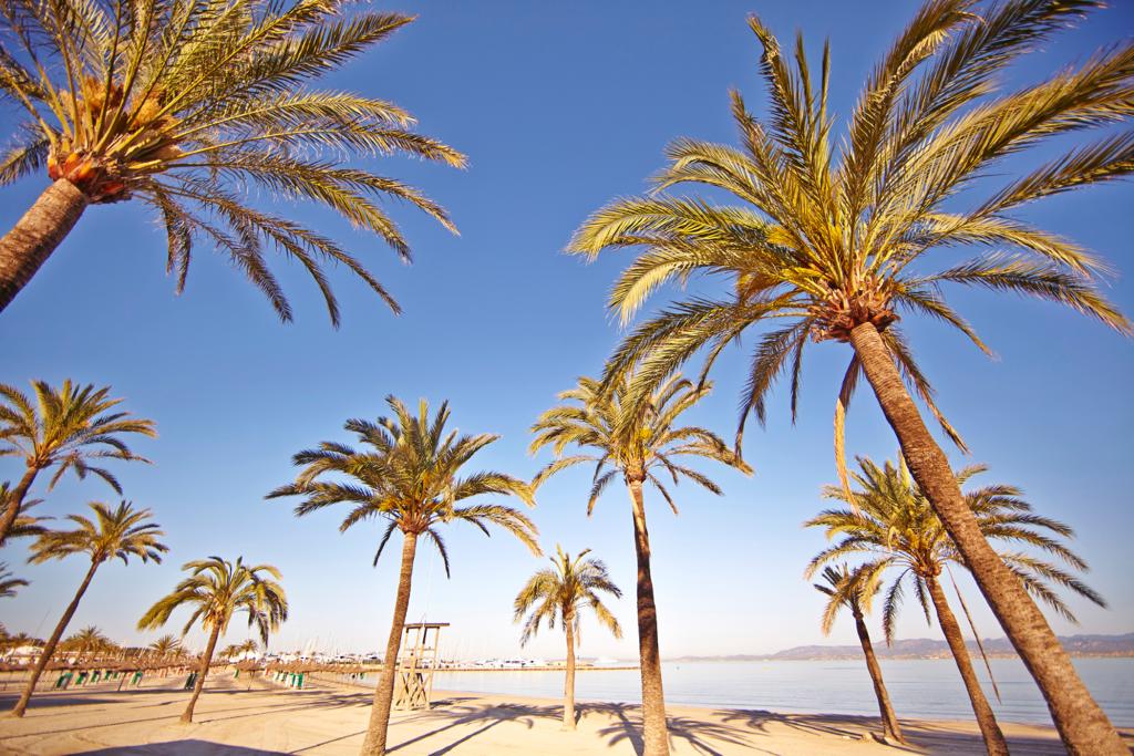 MLL Palma Bay Club Resort photo 19