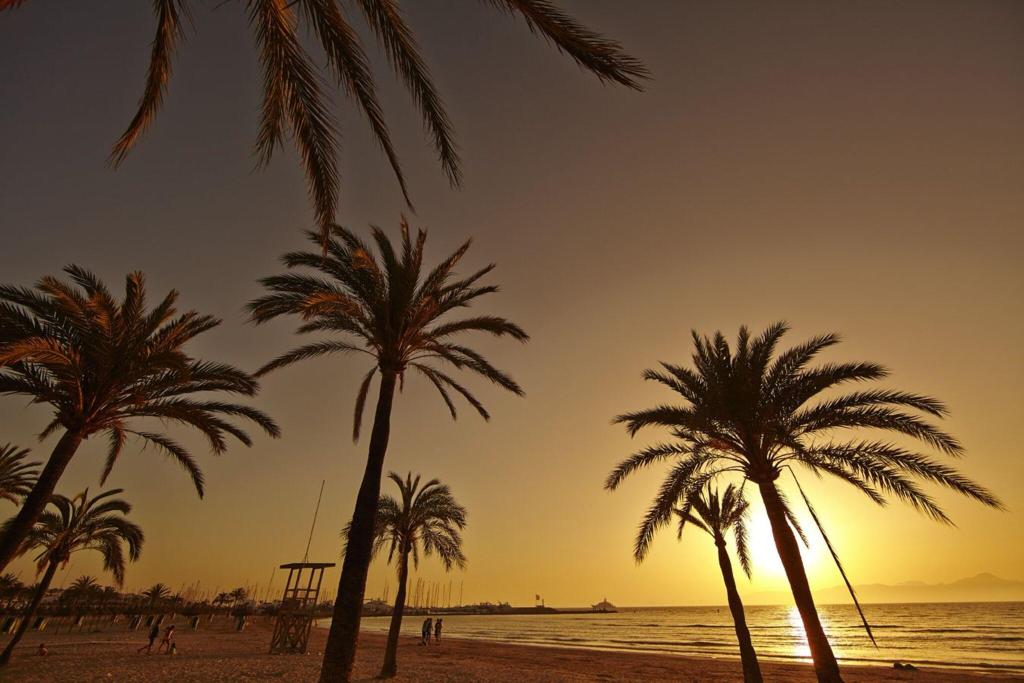 MLL Palma Bay Club Resort photo 18