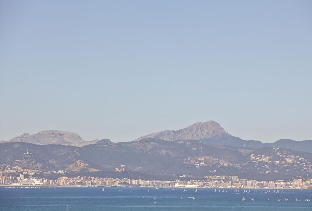 MLL Palma Bay Club Resort photo 21