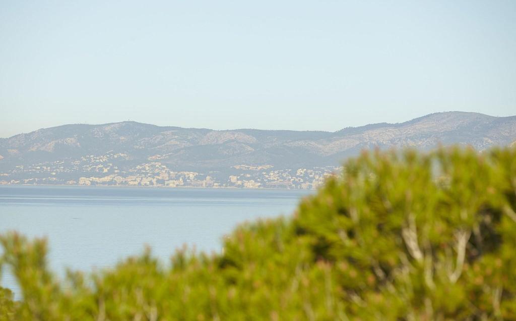 MLL Palma Bay Club Resort photo 22