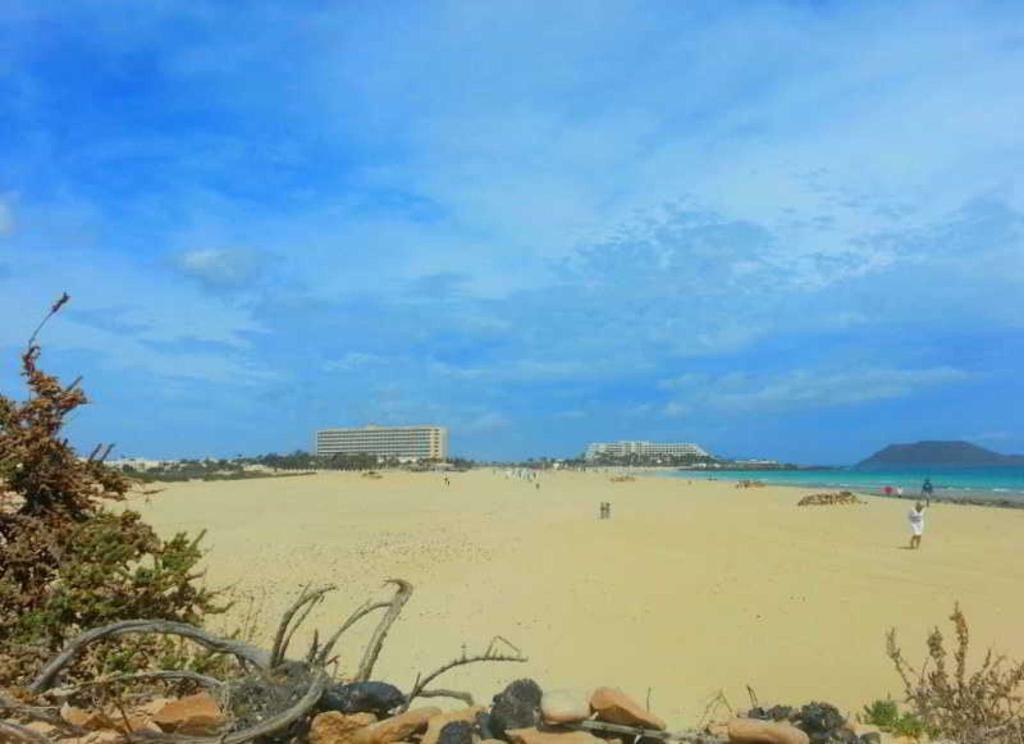 Riu Oliva Beach Resort photo 23