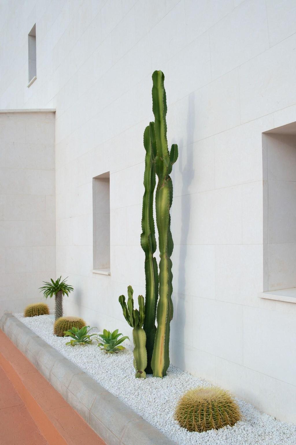 Menorca Binibeca by Pierre & Vacances Premium Adults Only photo 103