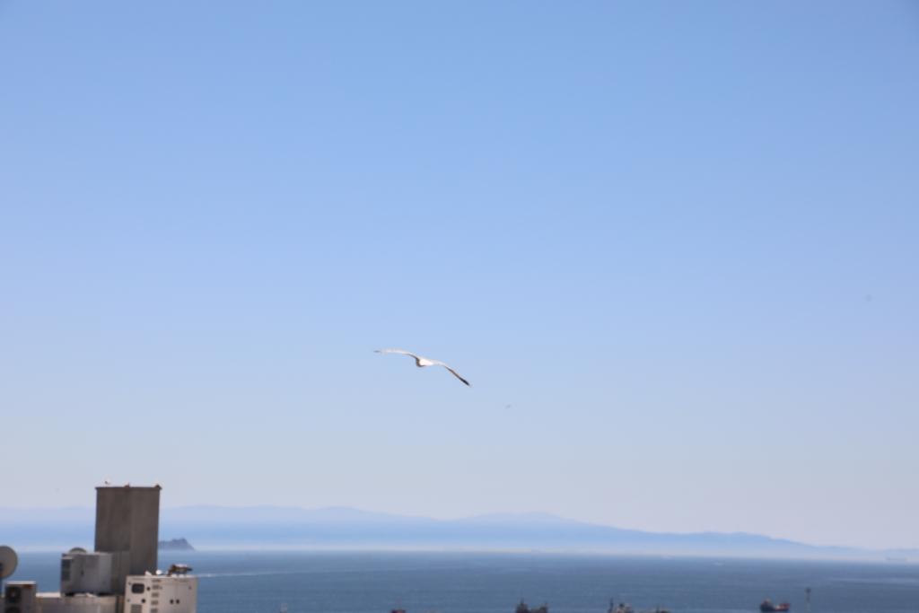 Istanbul Royal Hotel