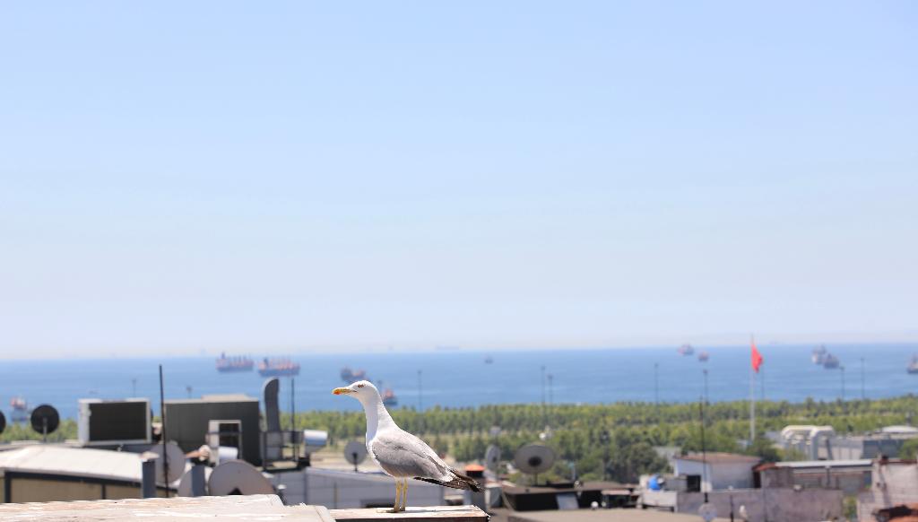 Istanbul Royal Hotel