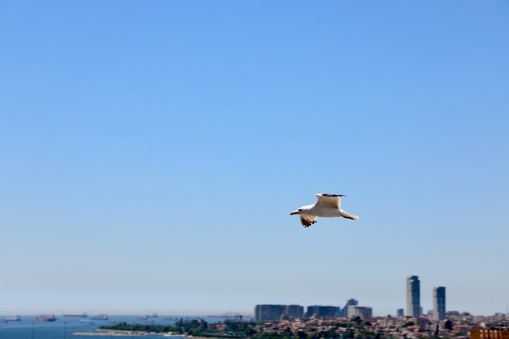 Istanbul Royal Hotel