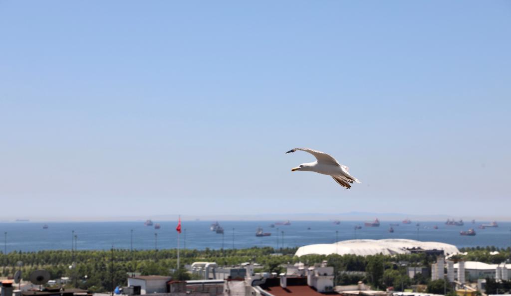 Istanbul Royal Hotel