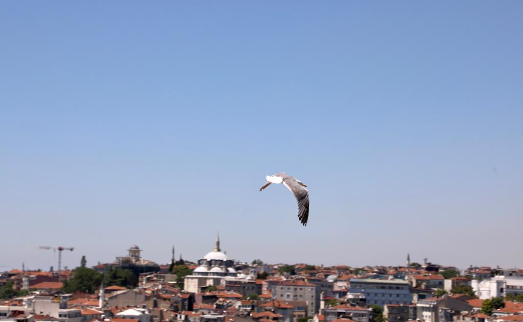 Istanbul Royal Hotel