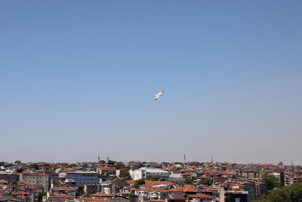 Istanbul Royal Hotel