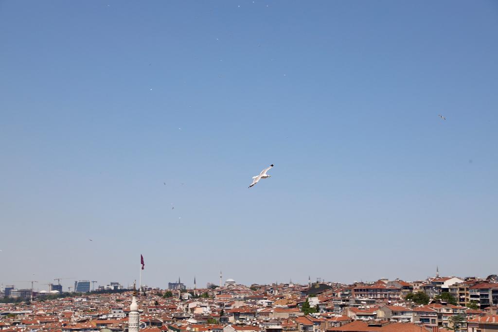 Istanbul Royal Hotel