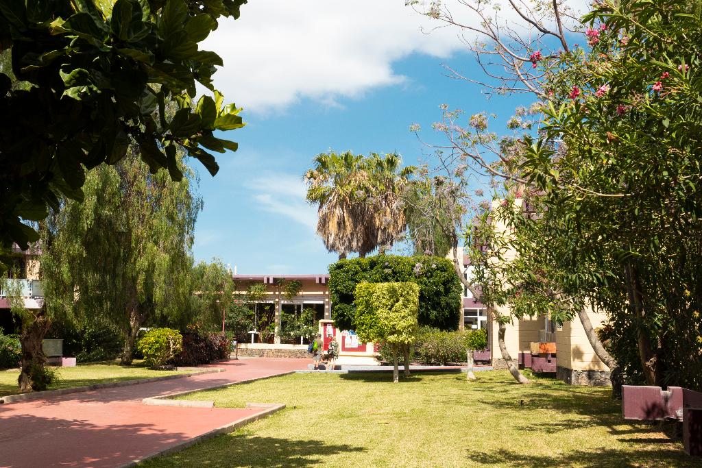 Hotel Palia Don Pedro, Spanien, Costa del Silencio. Großes 35