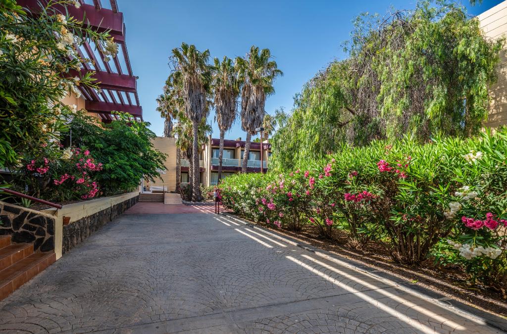 Hotel Hotel Palia Don Pedro, Spanien, Costa del Silencio. Großes 39