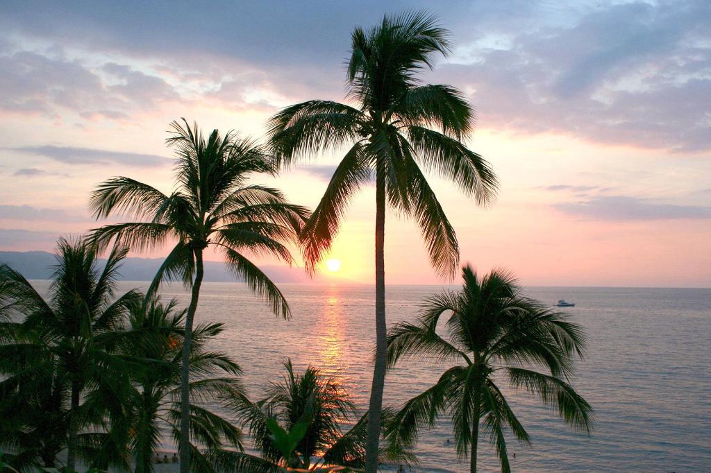 Playa Los Arcos Hotel Beach Resort & Spa