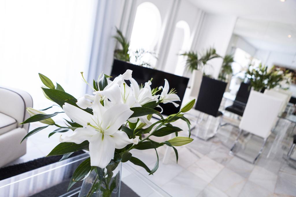 Hotel Suites Albayzin del Mar