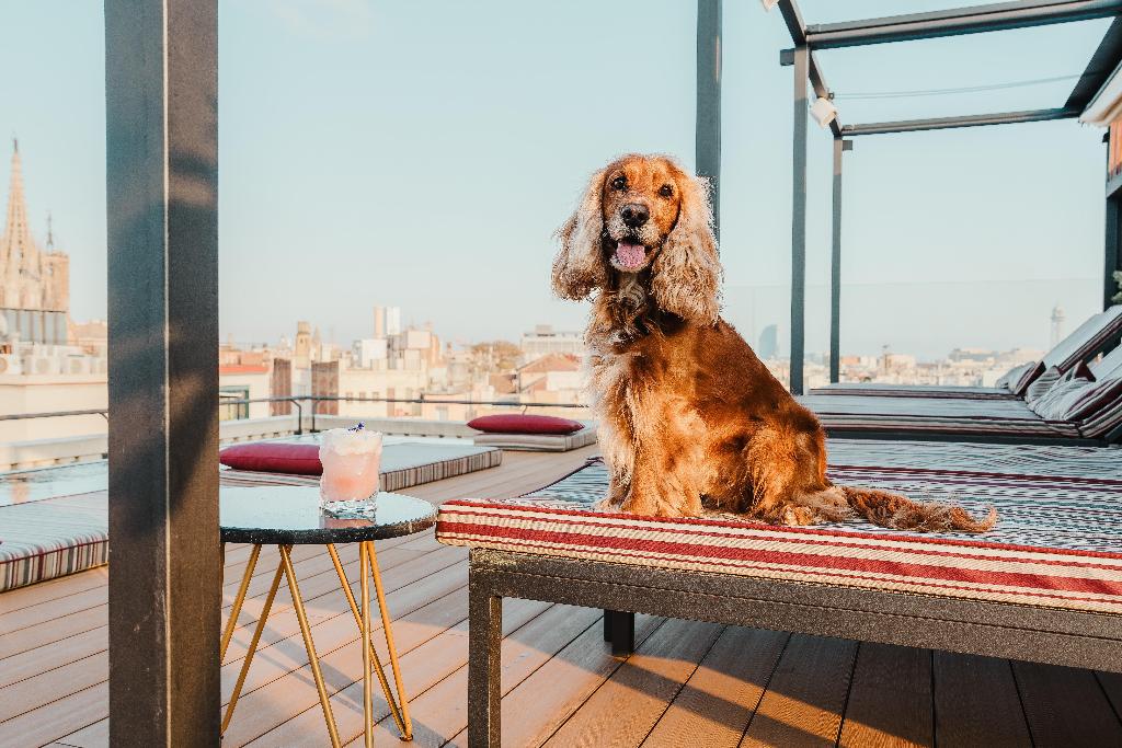 Imagem da galeria de Kimpton Vividora Hotel