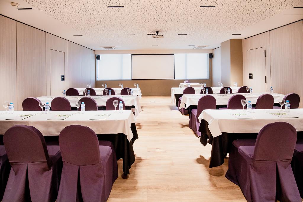 Suites Plaza Hotel & Wellness Andorra - Conferences