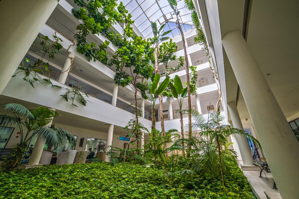 Galleria immagine di Vila Petra