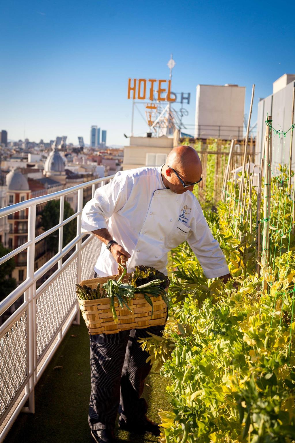 Wellington Hotel & Spa Madrid