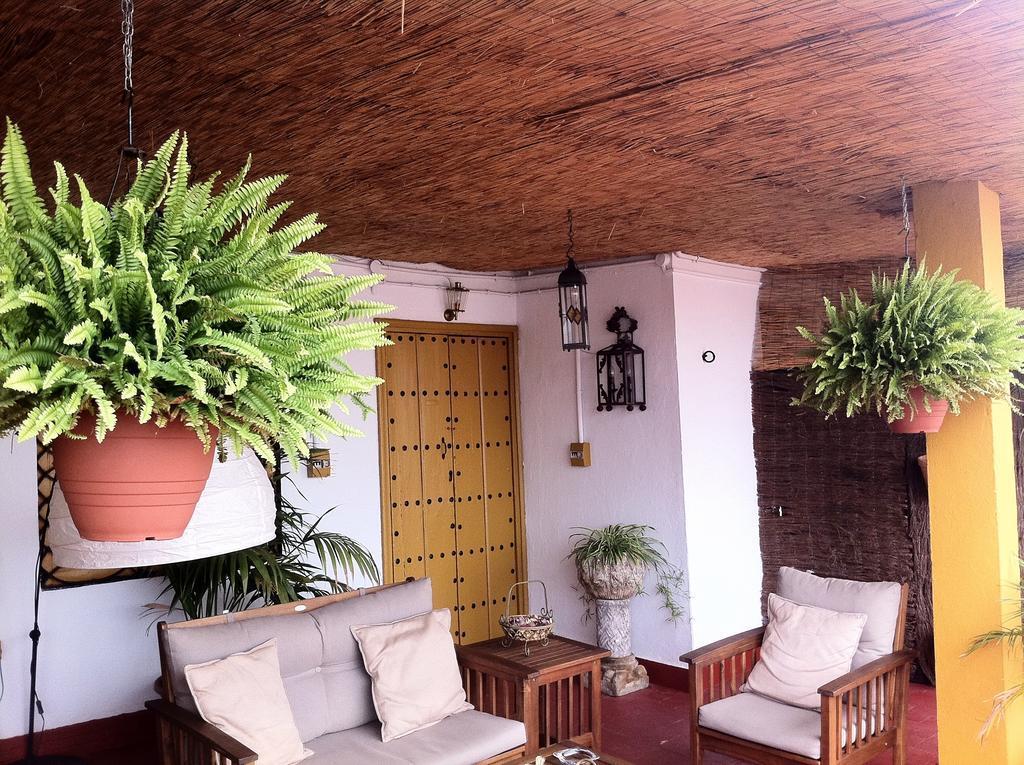 B&B Naranjo - General view