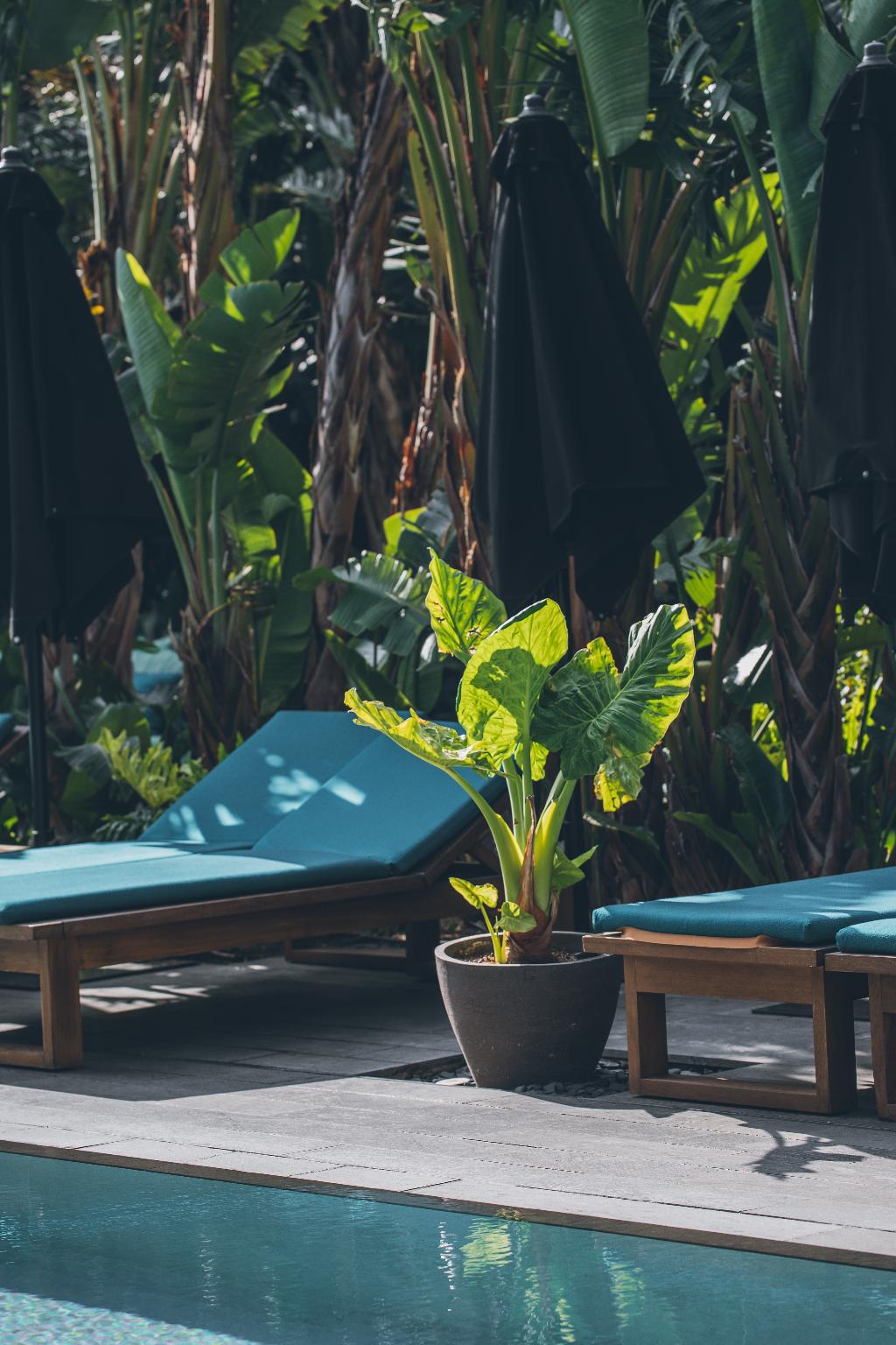 Imagem da galeria de Grand Hyatt Barcelona