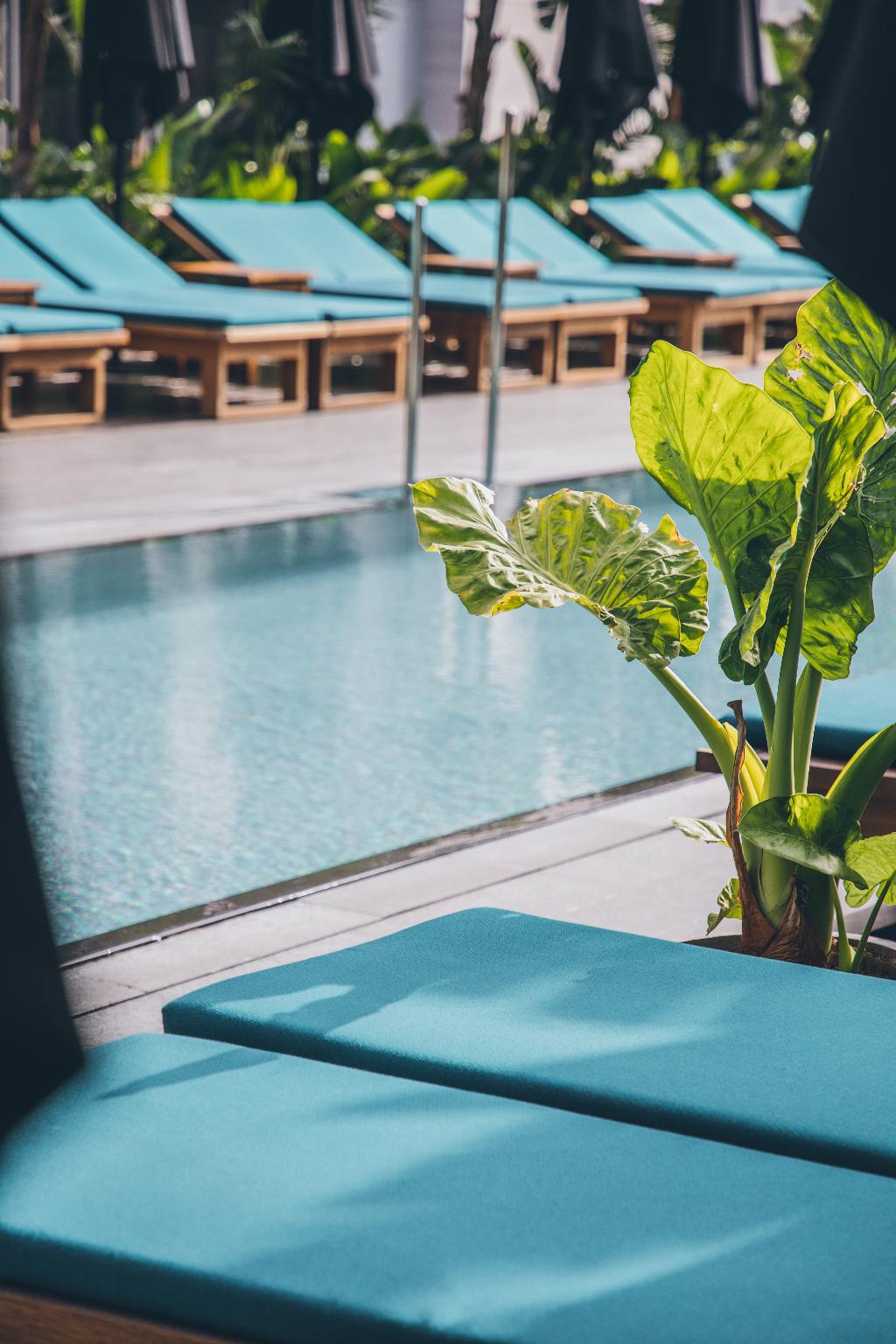 Imagem da galeria de Grand Hyatt Barcelona