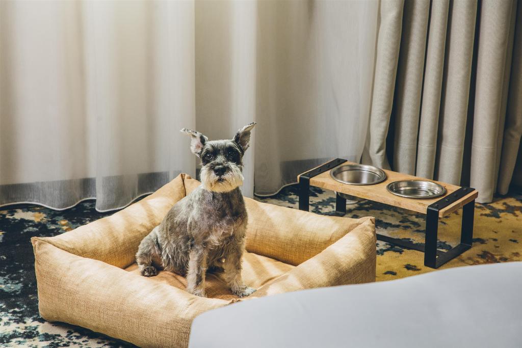 Imagem da galeria de Grand Hyatt Barcelona